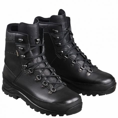 lowa mountain gtx boots